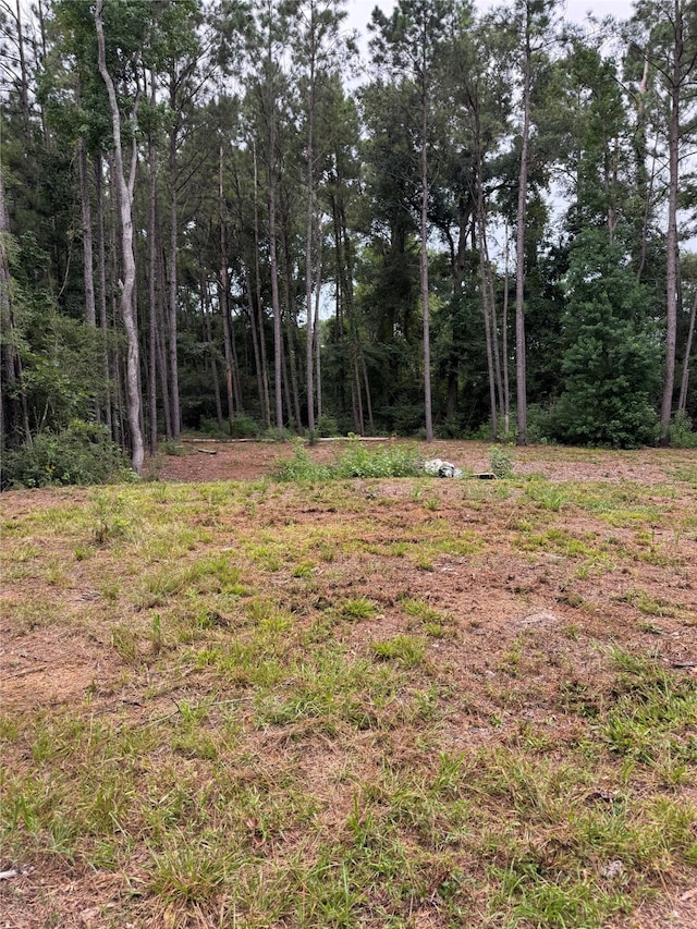 147 Neel Rd, Livingston, TX 77351 - photo 4