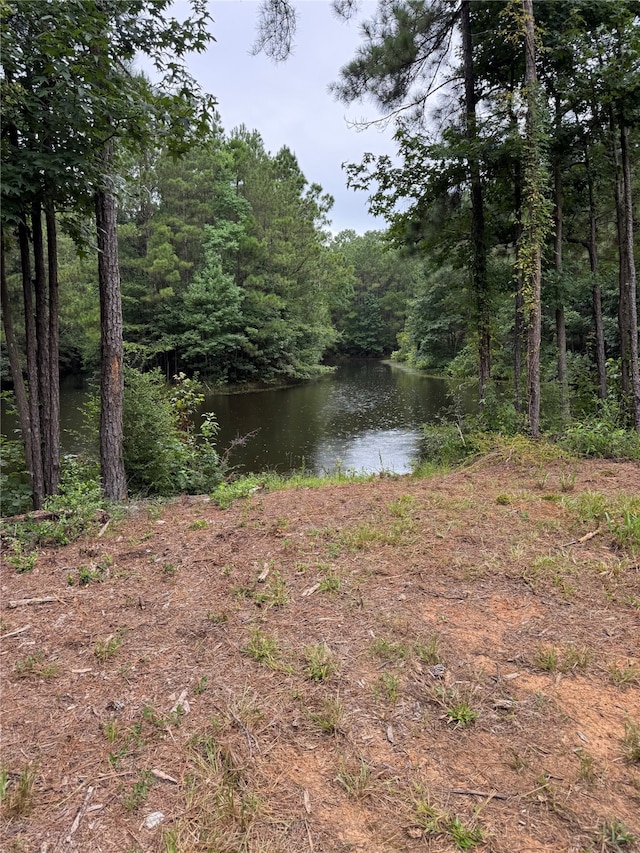 147 Neel Rd, Livingston, TX 77351 - photo 1