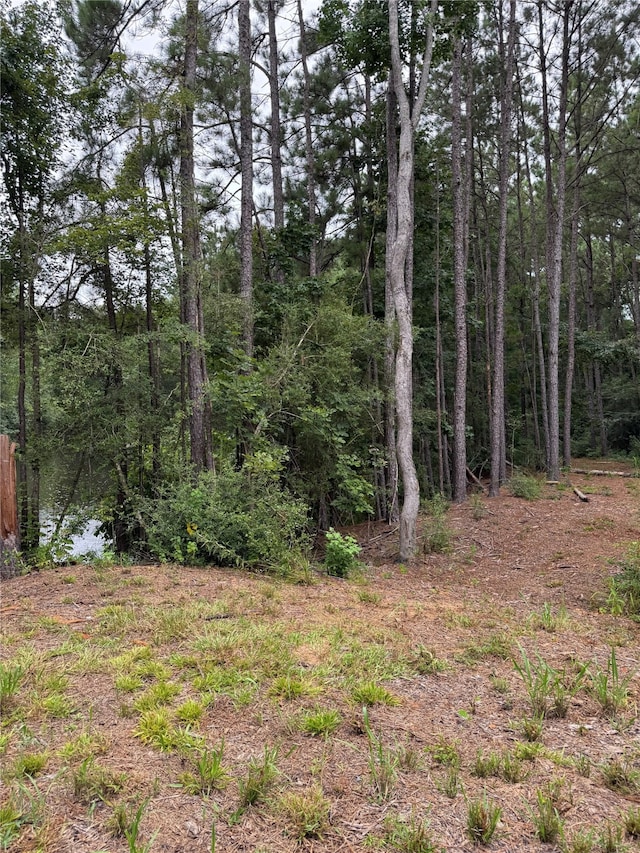 147 Neel Rd, Livingston, TX 77351 - photo 5