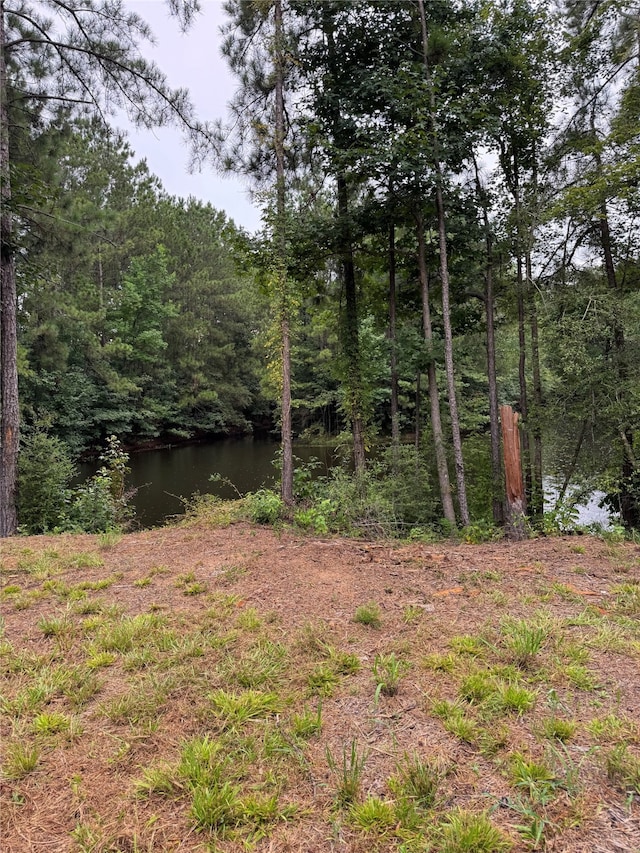 147 Neel Rd, Livingston, TX 77351 - photo 6