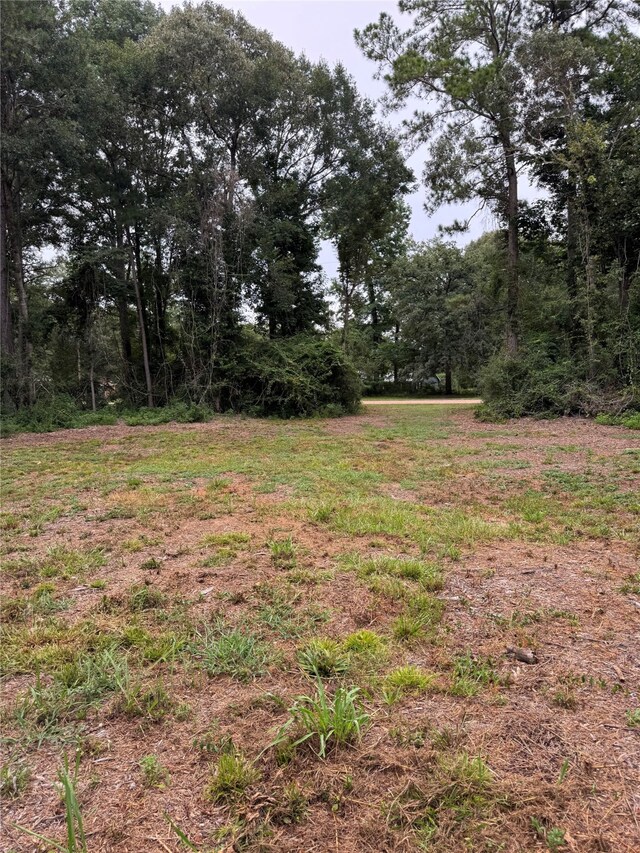 147 Neel Rd, Livingston, TX 77351 - photo 7