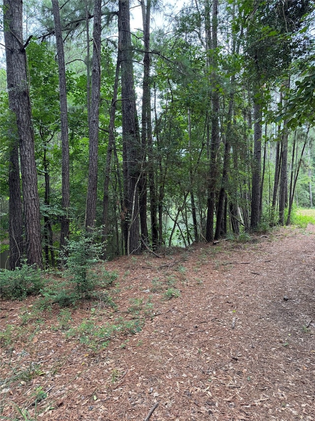147 Neel Rd, Livingston, TX 77351 - photo 8