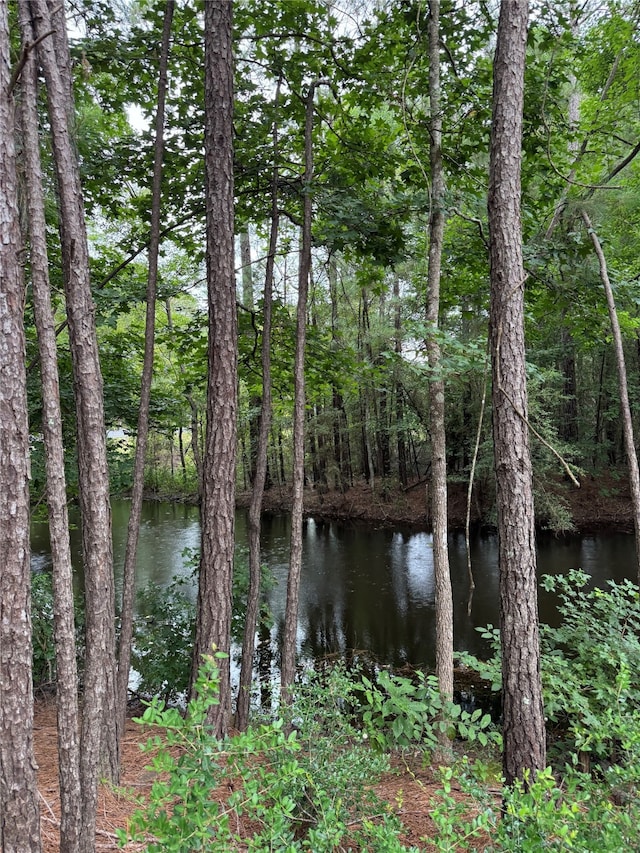 147 Neel Rd, Livingston, TX 77351 - photo 12