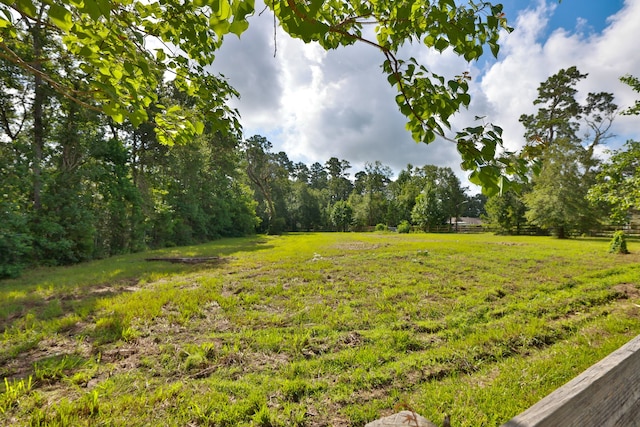 12002 Hillcrest Dr, Pinehurst, TX 77362 - photo 34