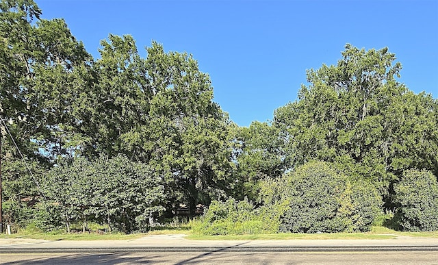 646 N Fm 356, Onalaska, TX 77360 - photo 4