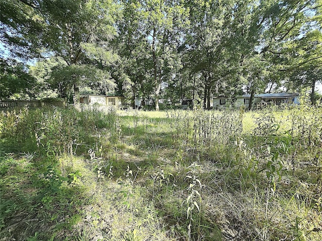 646 N Fm 356, Onalaska, TX 77360 - photo 5