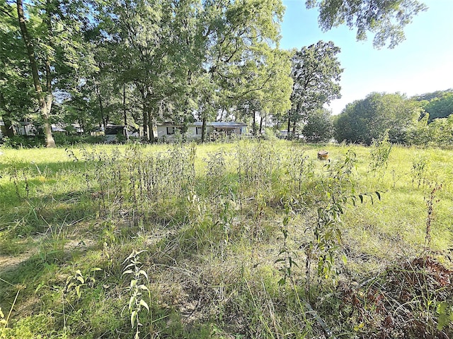 646 N Fm 356, Onalaska, TX 77360 - photo 6