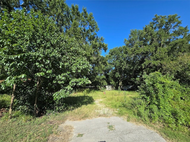 646 N Fm 356, Onalaska, TX 77360 - photo 7