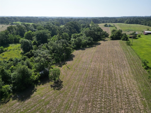 44.33ACRES County Road 202, Plantersville, TX 77363 - photo 6