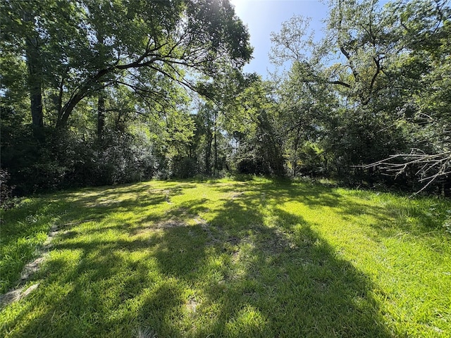 44.33ACRES County Road 202, Plantersville, TX 77363 - photo 10