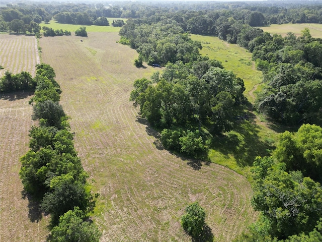 44.33ACRES County Road 202, Plantersville, TX 77363 - photo 11