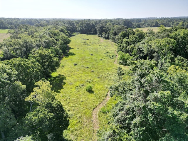44.33ACRES County Road 202, Plantersville, TX 77363 - photo 14