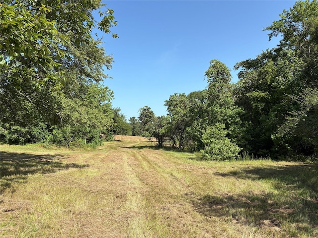 44.33ACRES County Road 202, Plantersville, TX 77363 - photo 15