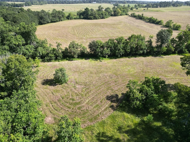 44.33ACRES County Road 202, Plantersville, TX 77363 - photo 16