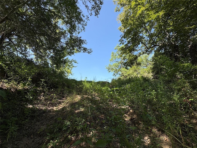 44.33ACRES County Road 202, Plantersville, TX 77363 - photo 17