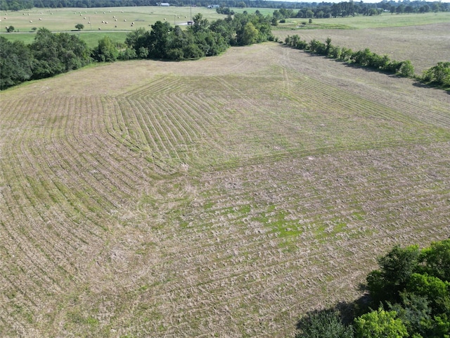 44.33ACRES County Road 202, Plantersville, TX 77363 - photo 21