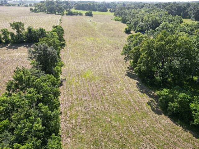 44.33ACRES County Road 202, Plantersville, TX 77363 - photo 22