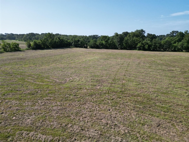44.33ACRES County Road 202, Plantersville, TX 77363 - photo 24