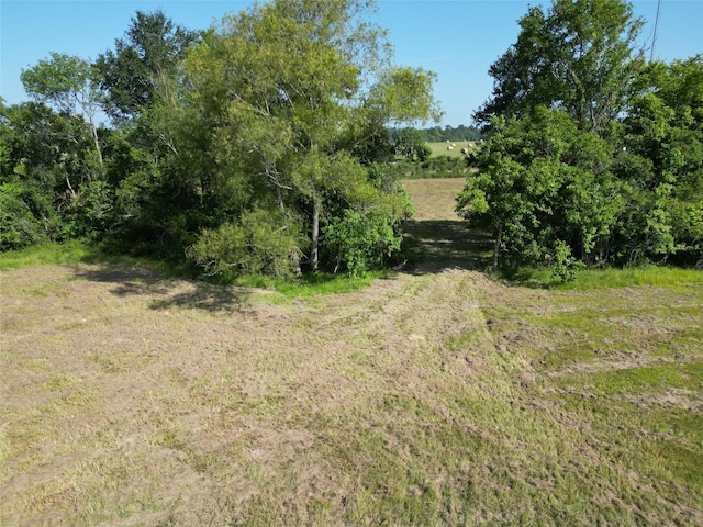 44.33ACRES County Road 202, Plantersville, TX 77363 - photo 25