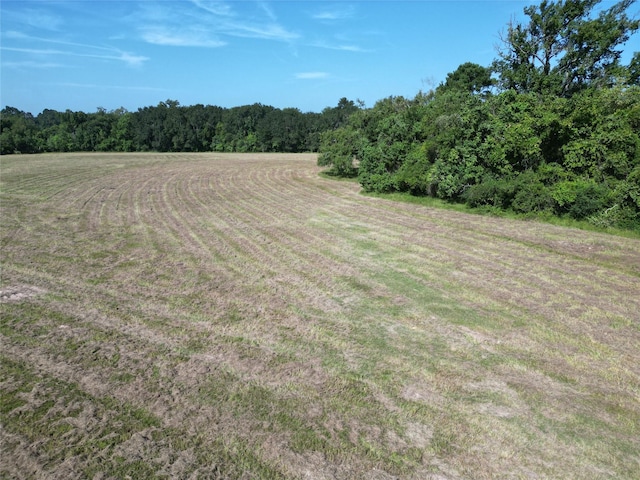 44.33ACRES County Road 202, Plantersville, TX 77363 - photo 26