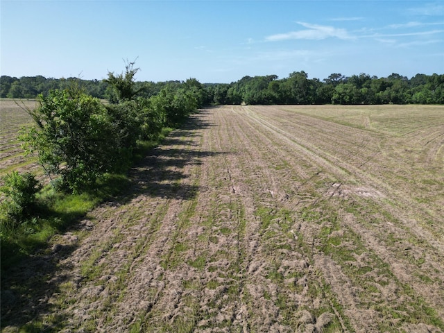44.33ACRES County Road 202, Plantersville, TX 77363 - photo 27