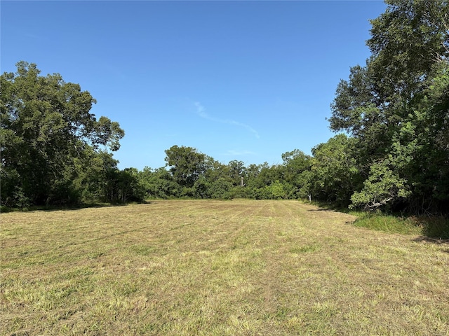 44.33ACRES County Road 202, Plantersville, TX 77363 - photo 29