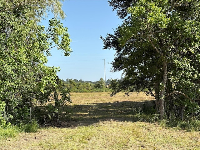 44.33ACRES County Road 202, Plantersville, TX 77363 - photo 30