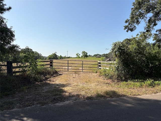44.33ACRES County Road 202, Plantersville, TX 77363 - photo 31