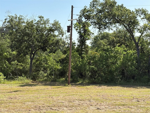 44.33ACRES County Road 202, Plantersville, TX 77363 - photo 33