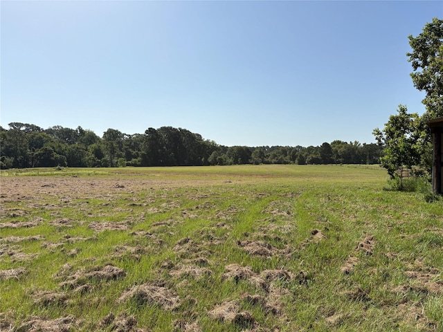 44.33ACRES County Road 202, Plantersville, TX 77363 - photo 34