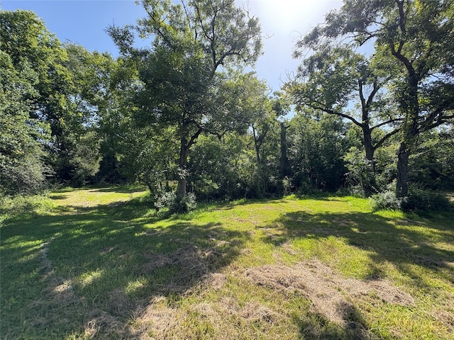 44.33ACRES County Road 202, Plantersville, TX 77363 - photo 37