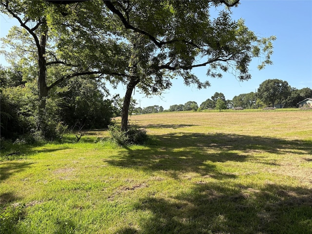 44.33ACRES County Road 202, Plantersville, TX 77363 - photo 38