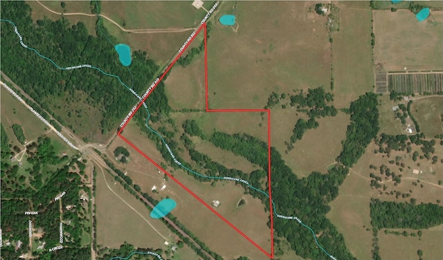 44.33ACRES County Road 202, Plantersville, TX 77363 - photo 7