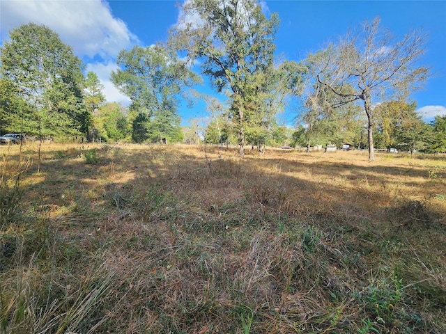 9467 Post Oak Cemetery Rd, Montgomery, TX 77356 - photo 2