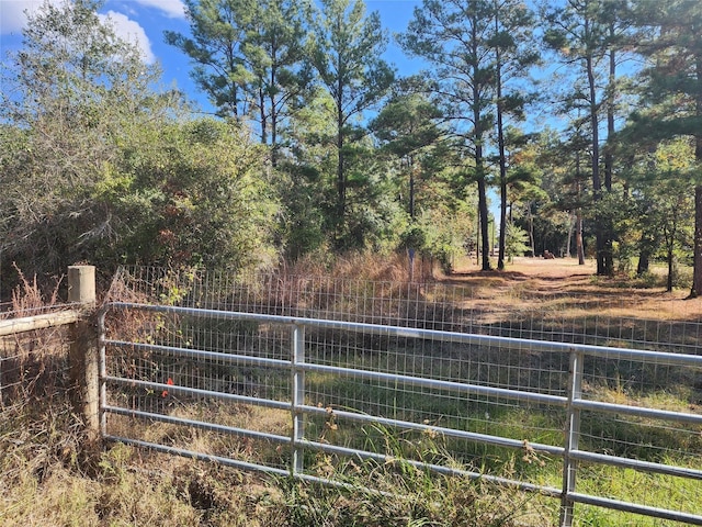 9467 Post Oak Cemetery Rd, Montgomery, TX 77356 - photo 15