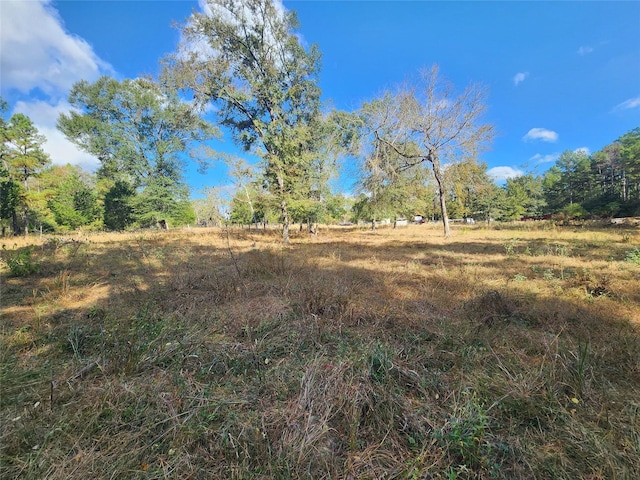 9467 Post Oak Cemetery Rd, Montgomery, TX 77356 - photo 1