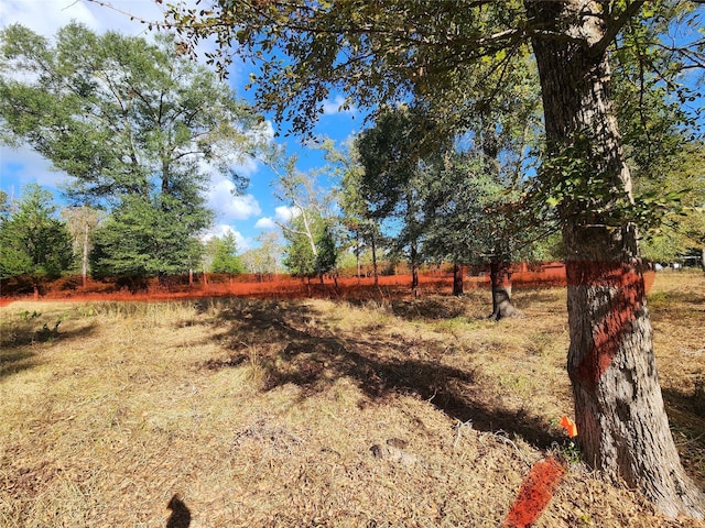 9467 Post Oak Cemetery Rd, Montgomery, TX 77356 - photo 7