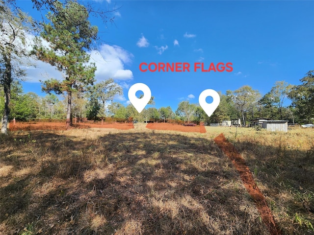9467 Post Oak Cemetery Rd, Montgomery, TX 77356 - photo 9