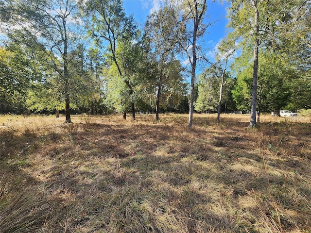 9467 Post Oak Cemetery Rd, Montgomery, TX 77356 - photo 5
