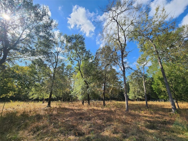 9467 Post Oak Cemetery Rd, Montgomery, TX 77356 - photo 4