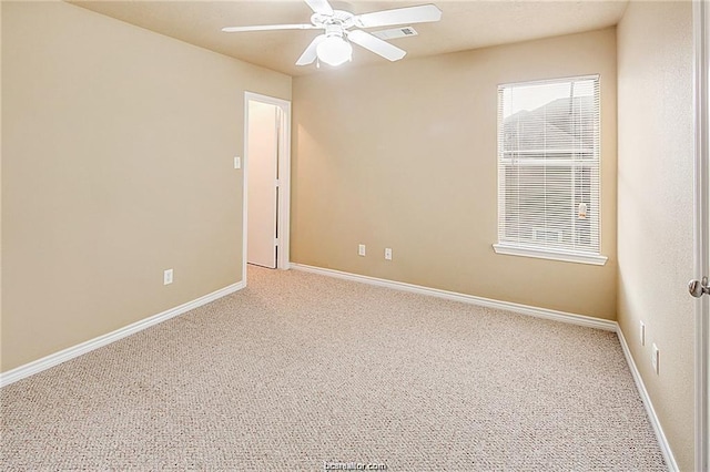 4053 Southern Trace Dr, College Station, TX 77845 - photo 14