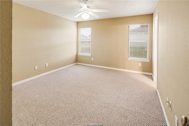 4053 Southern Trace Dr, College Station, TX 77845 - photo 17