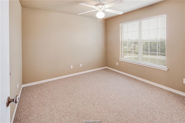 4053 Southern Trace Dr, College Station, TX 77845 - photo 10
