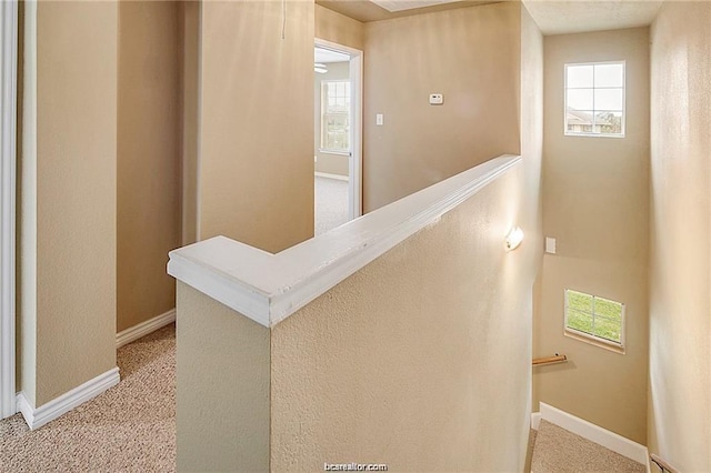 4053 Southern Trace Dr, College Station, TX 77845 - photo 11