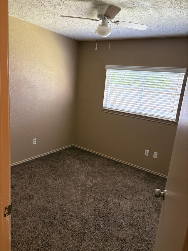 11503 Stansberg Dr, Houston, TX 77066 - photo 20