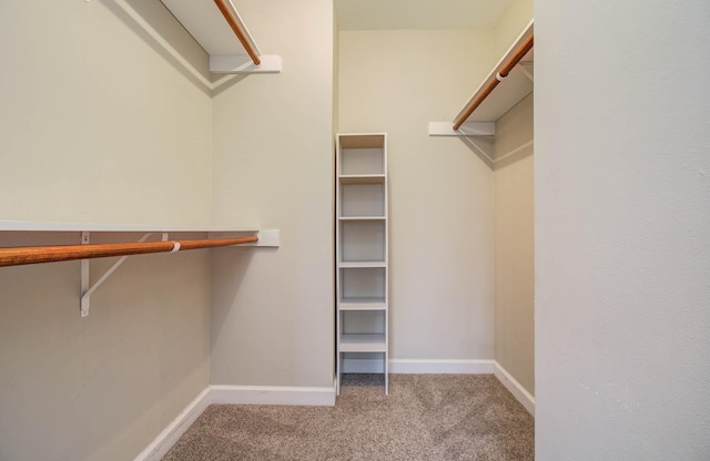 8801 Hammerly Blvd Unit 1702, Houston, TX 77080 - photo 16