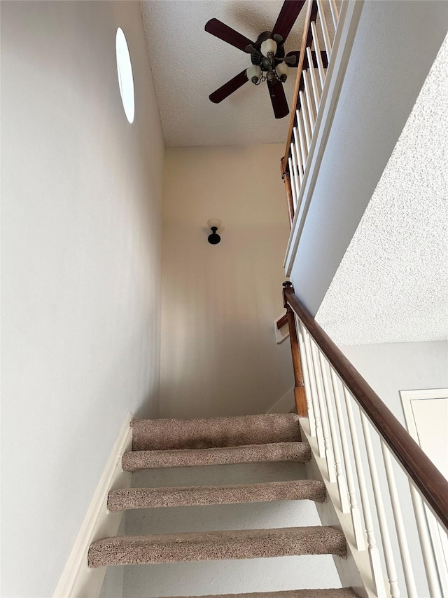 2120 El Paseo St Unit 801, Houston, TX 77054 - photo 12