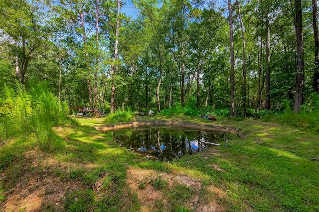 200 Our Rd, Shepherd, TX 77371 - photo 34