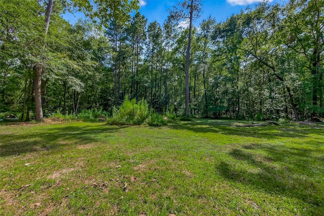 200 Our Rd, Shepherd, TX 77371 - photo 36