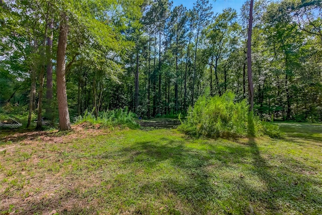 200 Our Rd, Shepherd, TX 77371 - photo 37